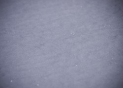 120202_IMG8485