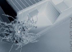 模型樹木